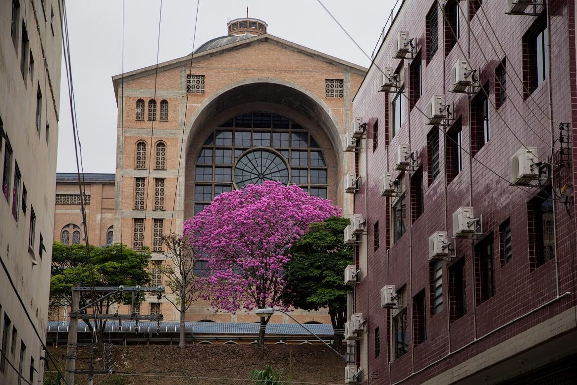 Hotel Passarela I - Aparecida (Sao Paulo)