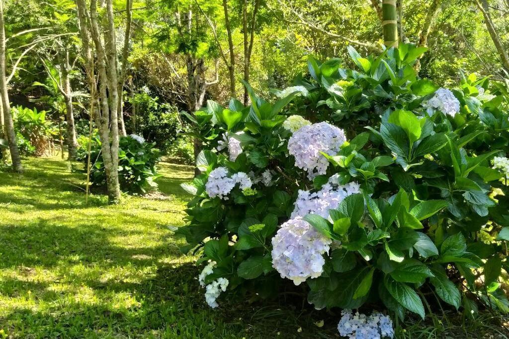 Villa Urutau - Cunha — Photos 1