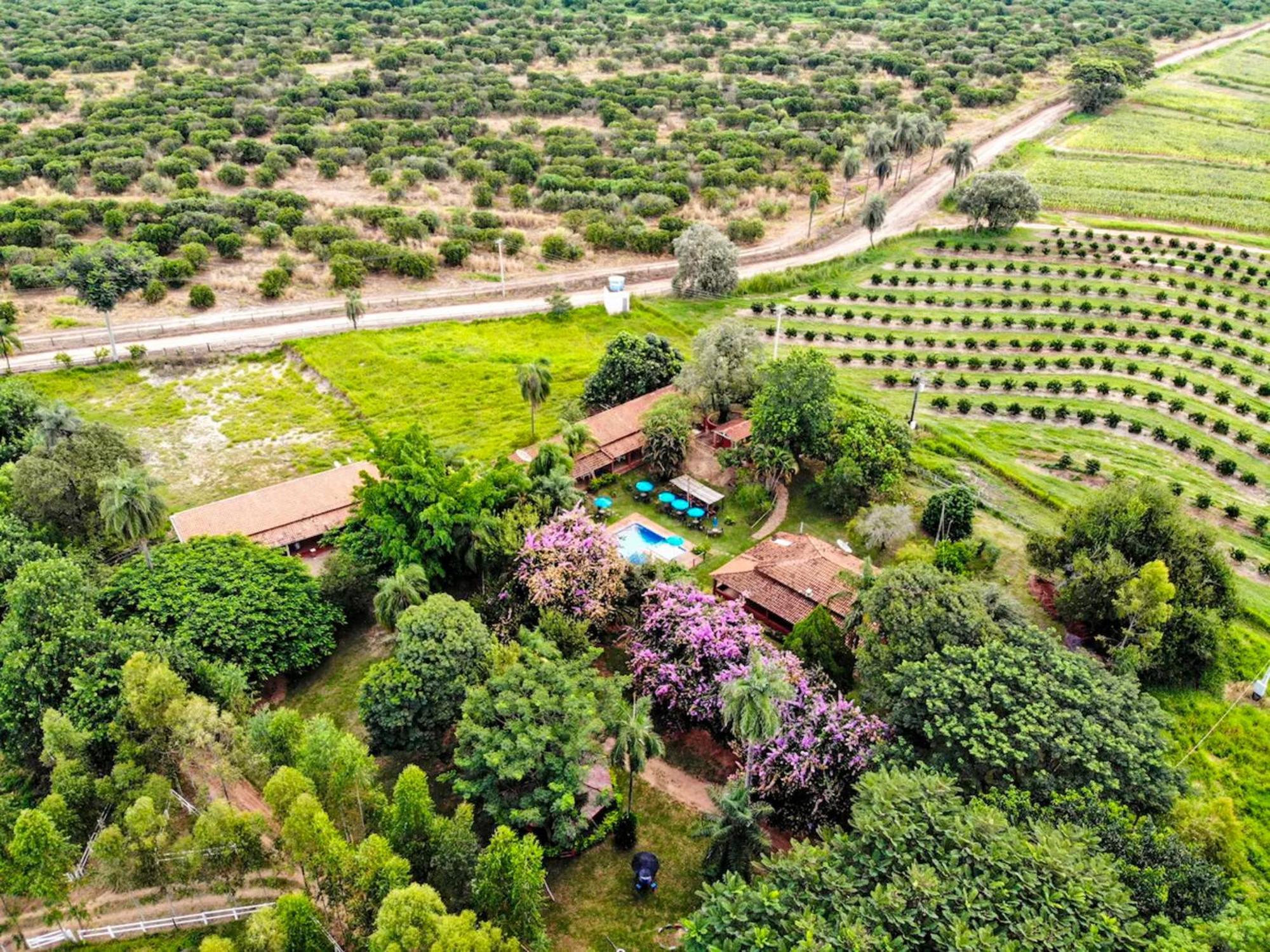 Palmeiras Hotel Fazenda - Brotas