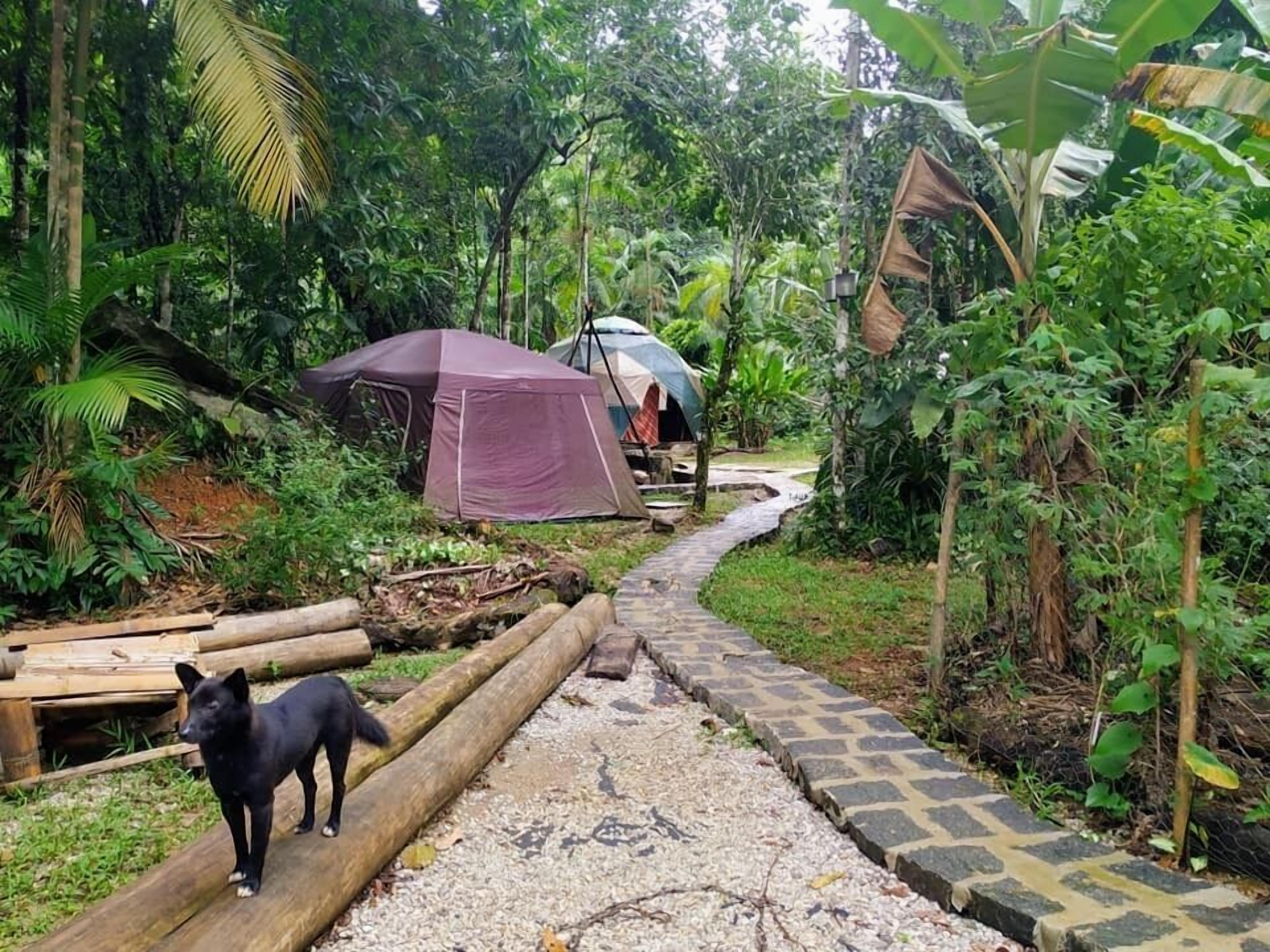 Sitio Simple Life, Ubatuba