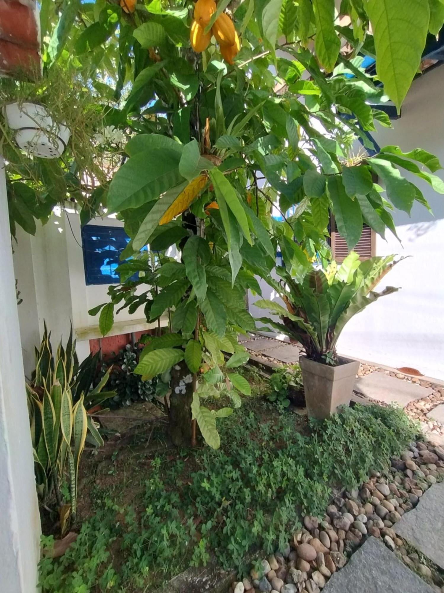 Quinta Essencia Suites E Chales — Photos 3