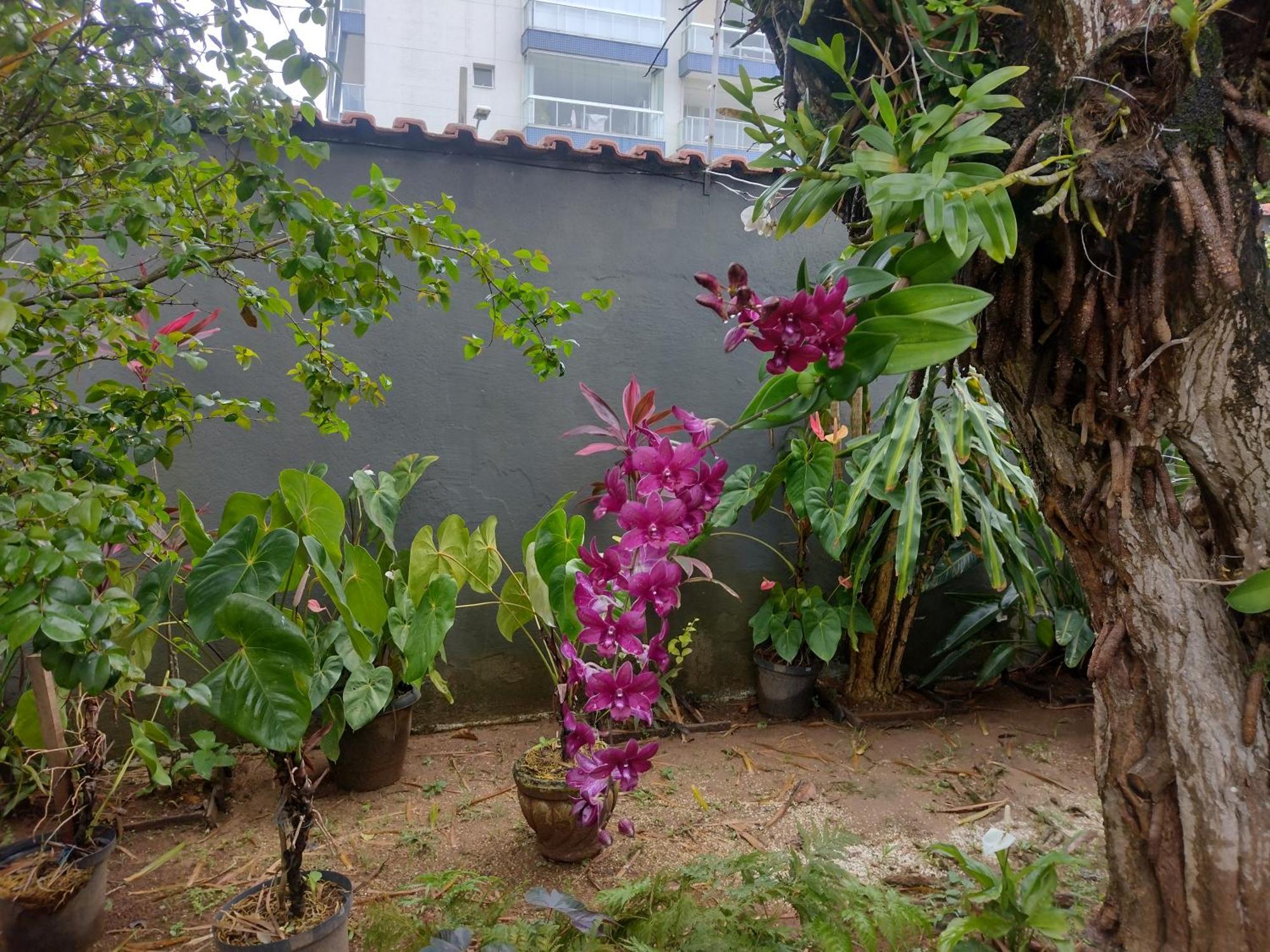 Hostel Le Castelle, Caraguatatuba