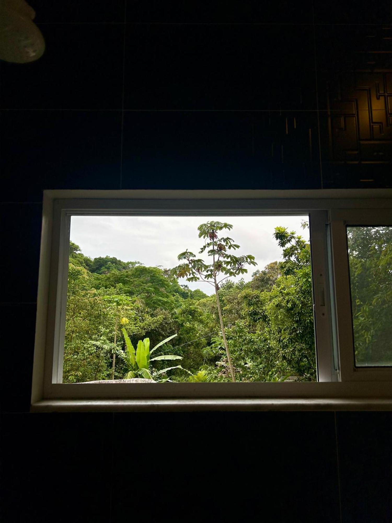 Tenorio Beach Hostel 400 Mts Da Praia Do Tenorio - Ubatuba — Photos 3