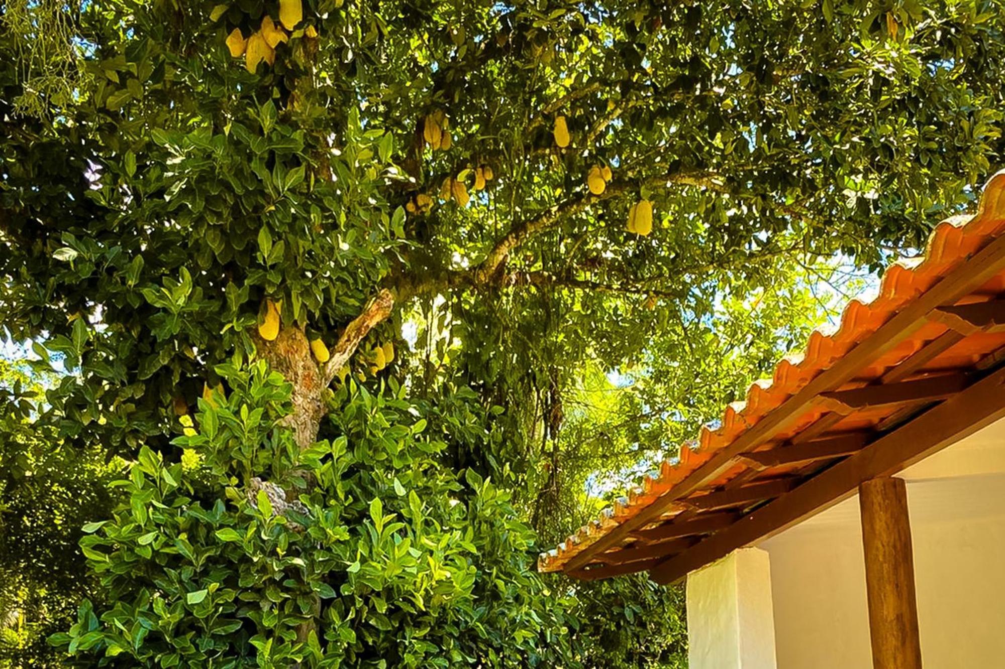 Villa Baepi — Photos 1
