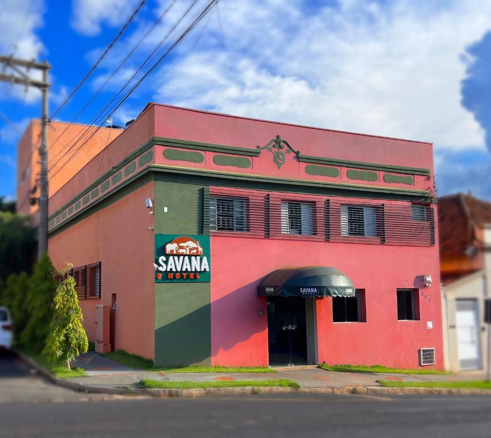 Hotel Savana, Olimpia