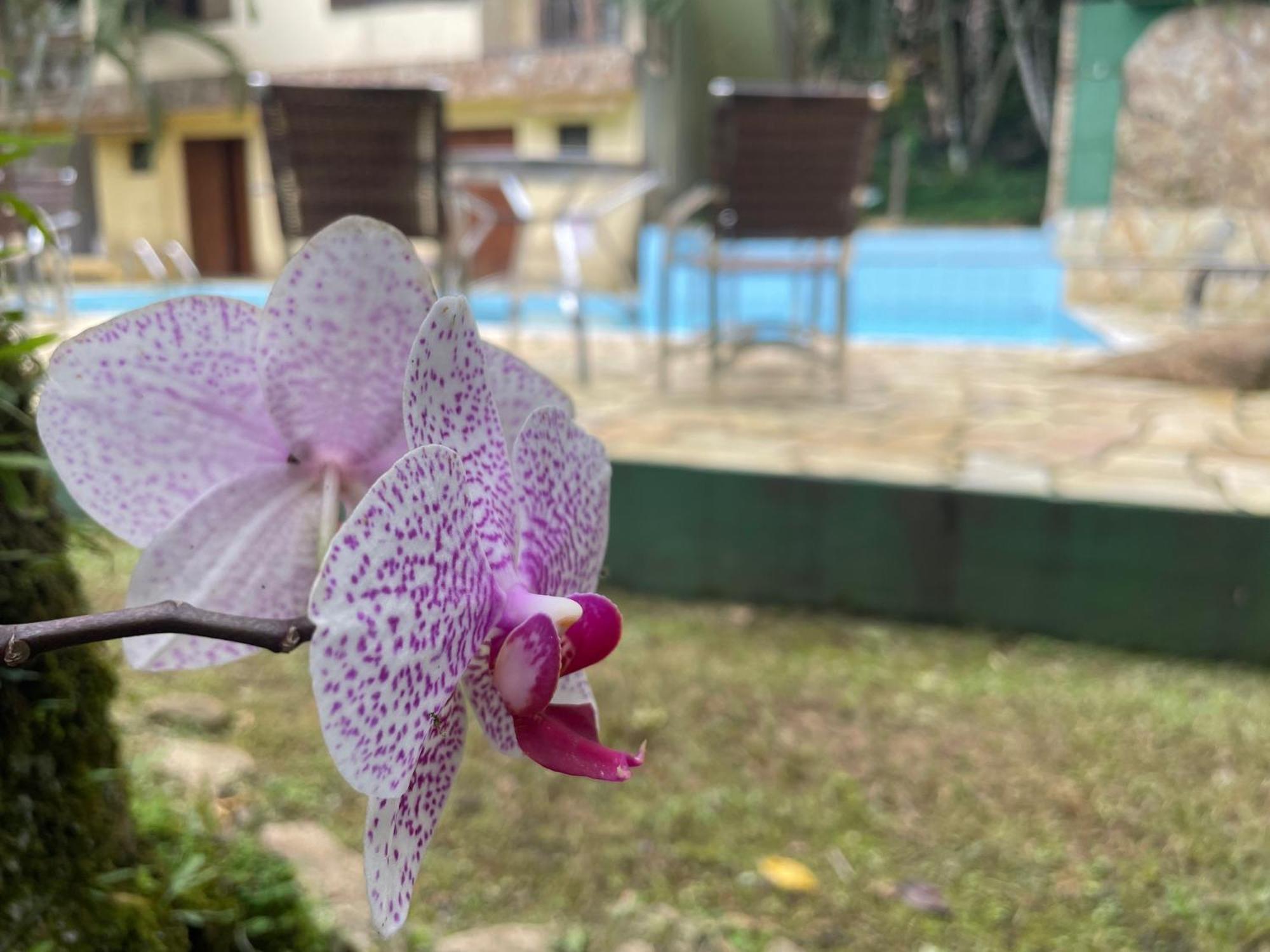 Canto De Itamambuca - Ubatuba — Photos 1