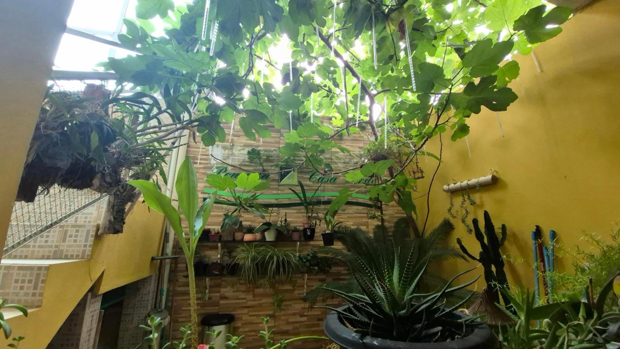 Pousada Casa Verde, Aparecida