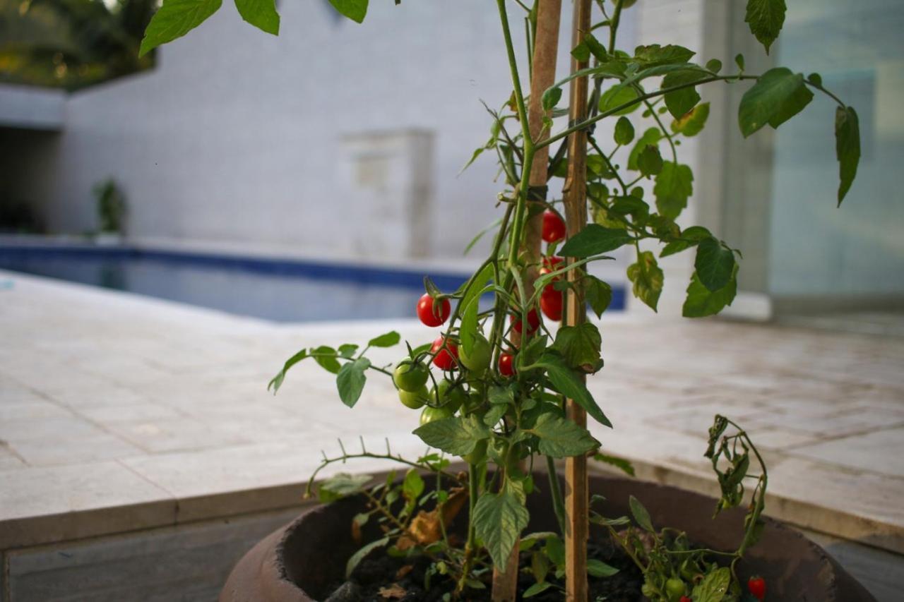 Hospedaria Tombo Brasil - Guaruja — Photos 1