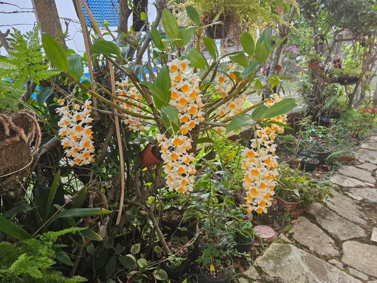 Pousada Thermas Das Montanhas — Photos 3