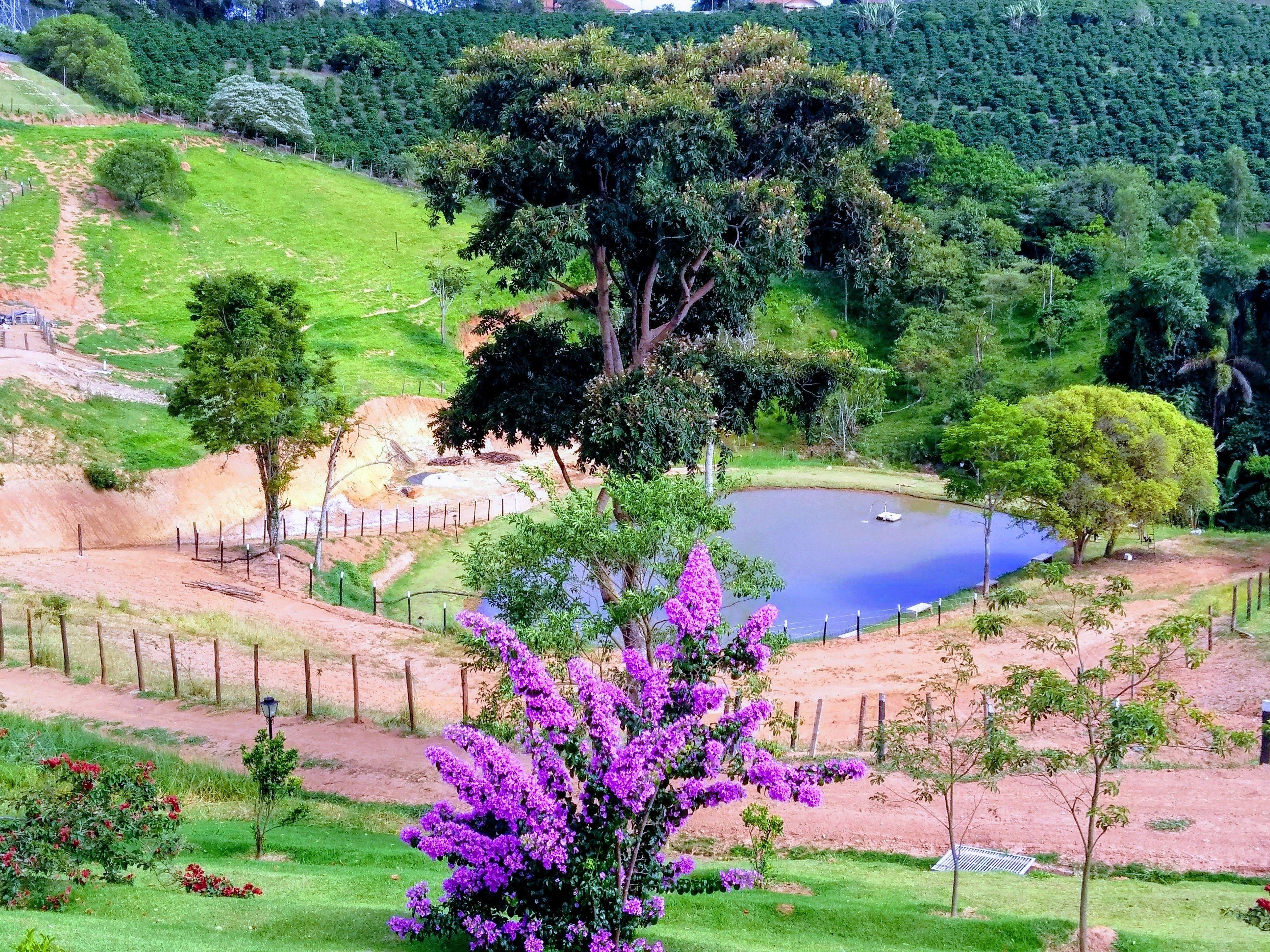 Hotel Fazenda Molise - Serra Negra (Sao Paulo), Serra Negra