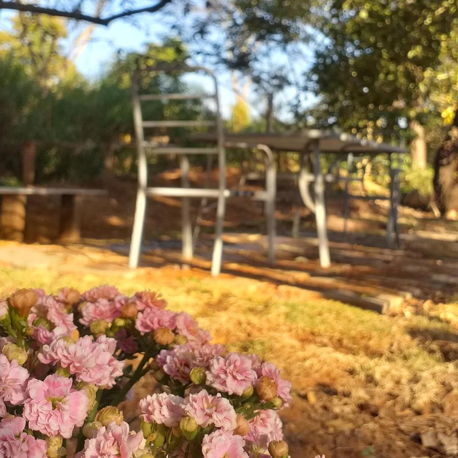Pousada Villa Aurora — Photos 3