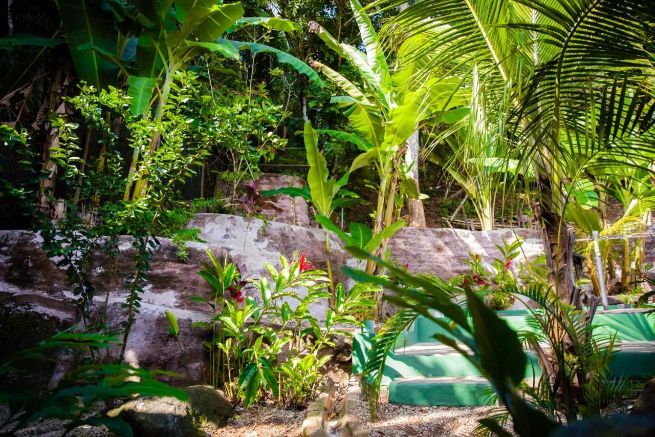 Sintonia Surf Hostel E Bar - Ubatuba — Photos 1