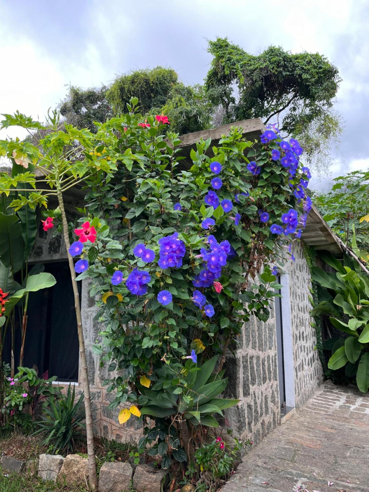 Recanto Das Mangueiras - Ilhabela, Ilhabela