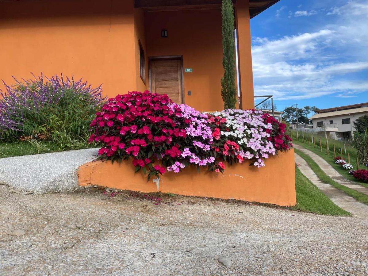 Vertentes Da Mantiqueira — Photos 2