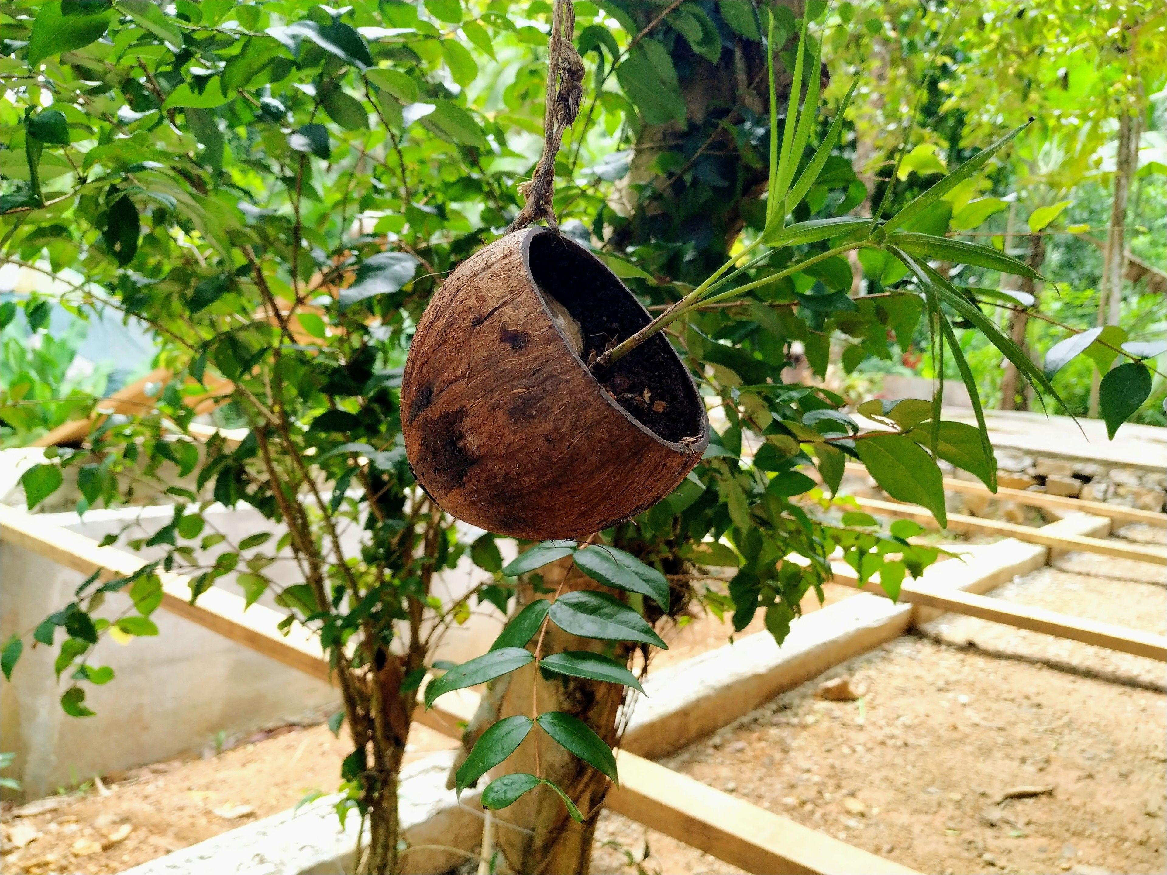 Sitio Simple Life — Photos 2