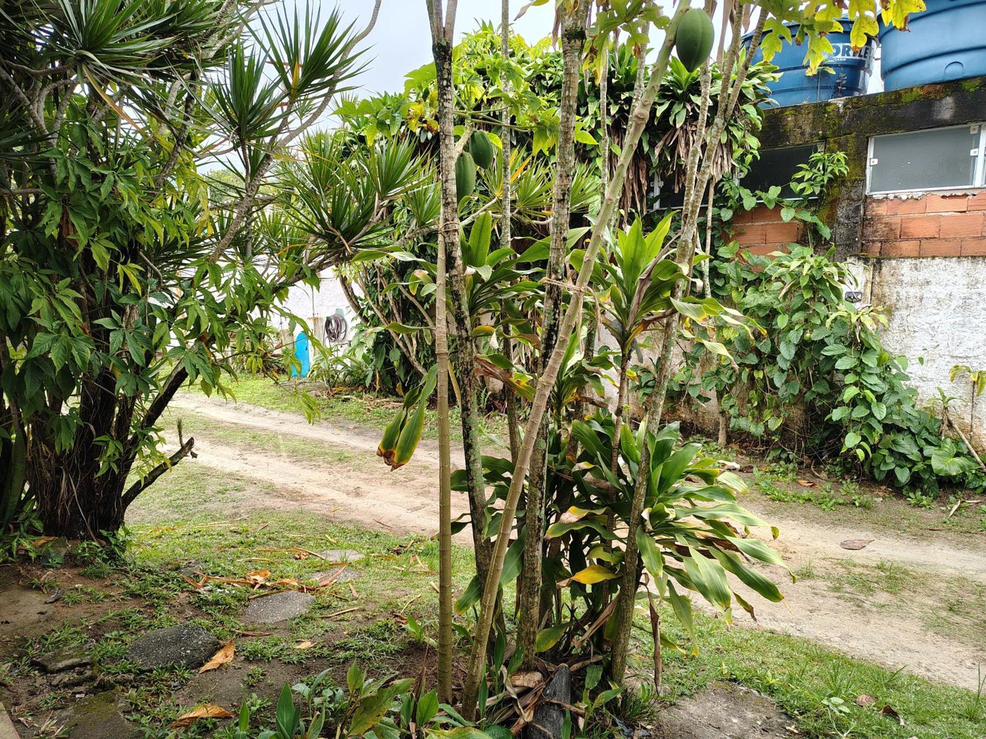 Pousada Lambaris Pereque Guaruja, Guaruja