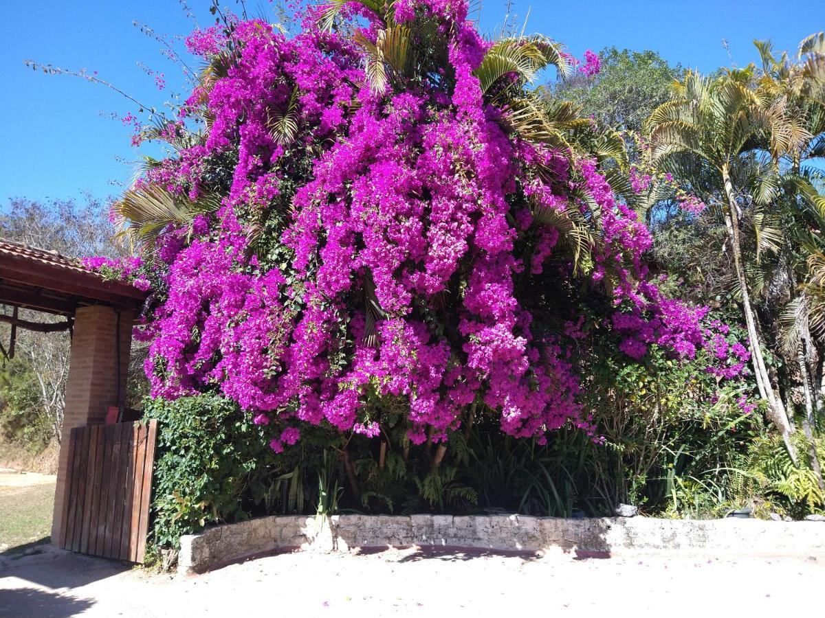 Sitio Pousada Morada Do Sol — Photos 3