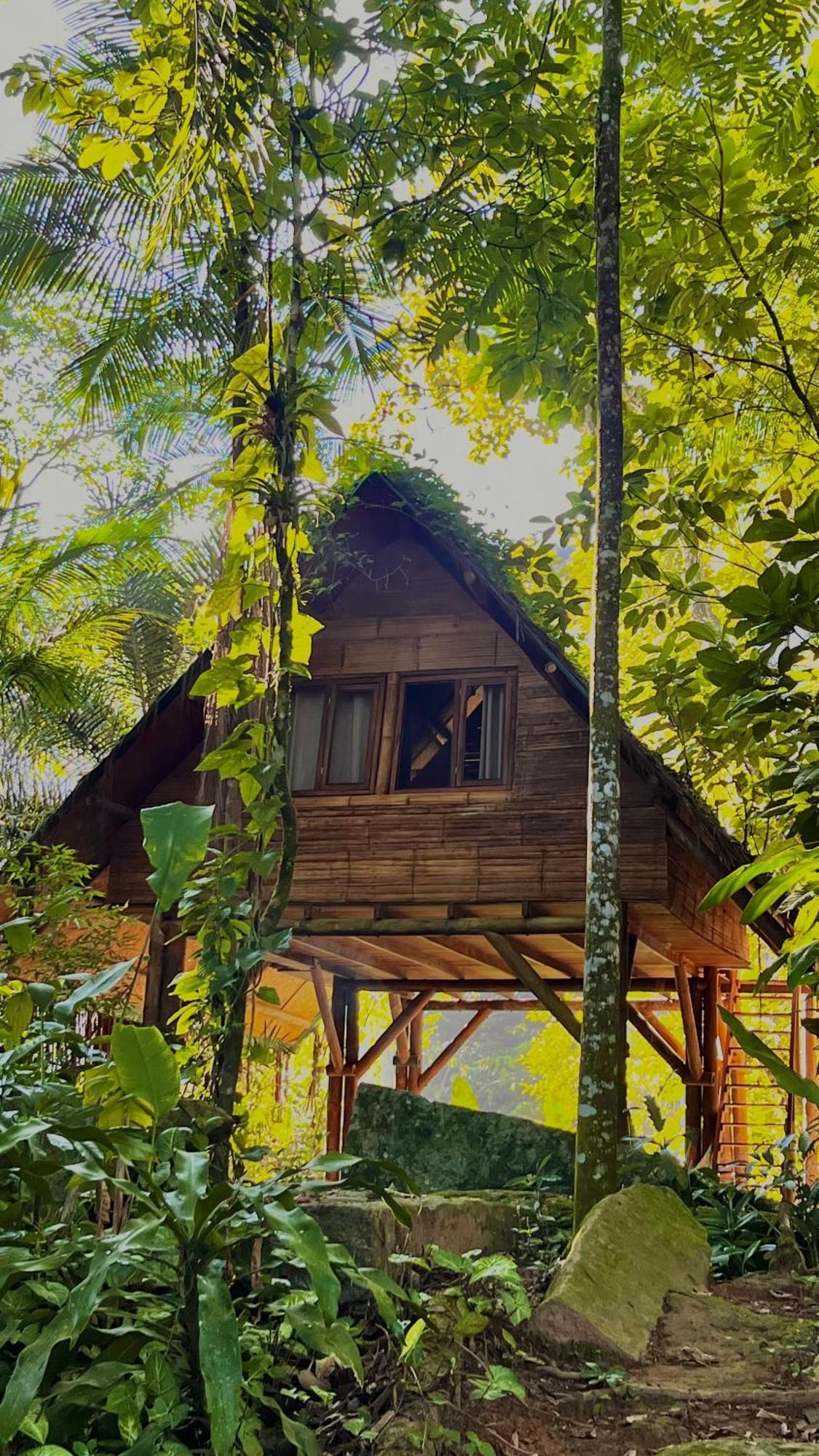Sitio Simple Life