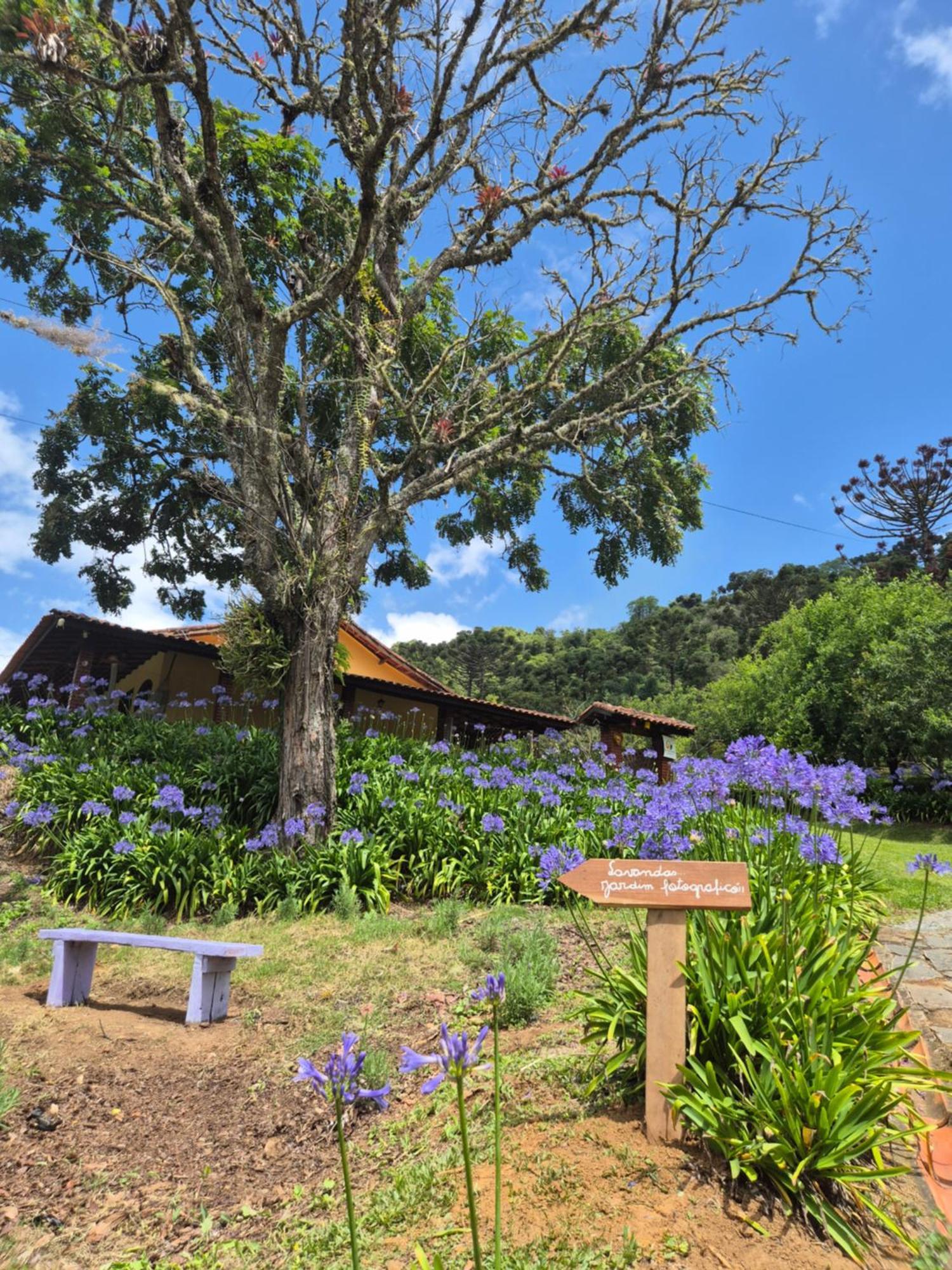 Refugio Do Sabia 06 Villa - Cunha — Photos 2