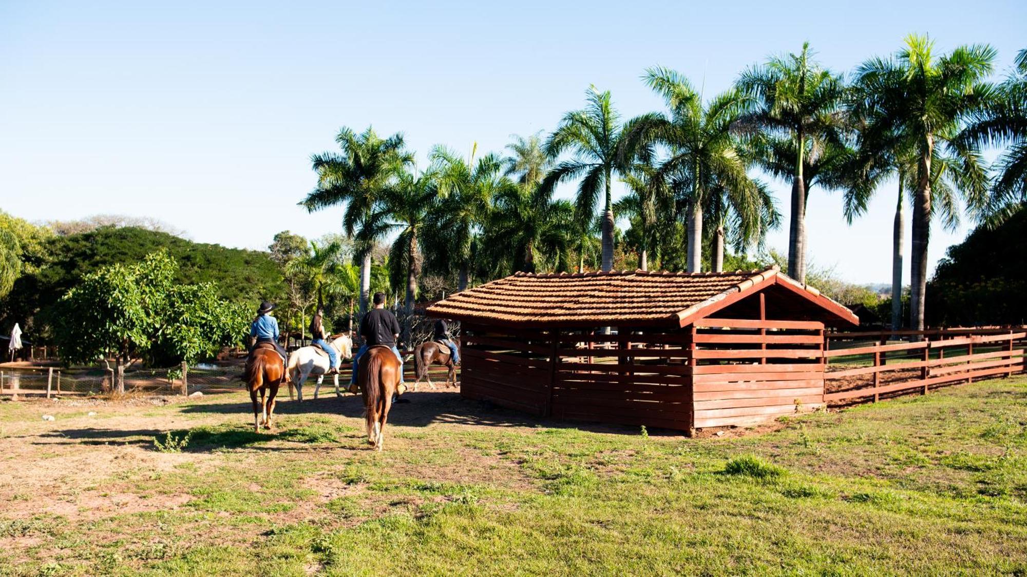 Sr Farm Hotel - Brotas — Photos 3
