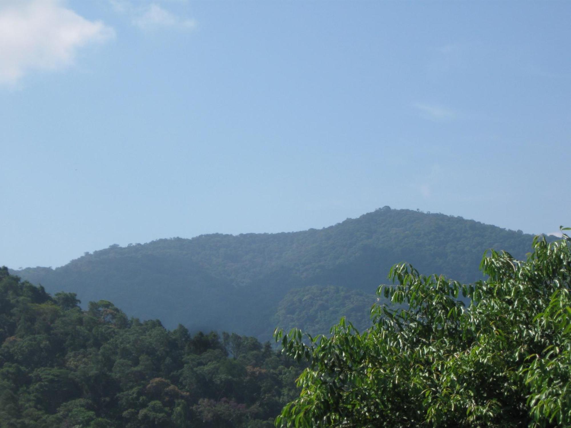 Pousada Portal Da Palmeira - Ubatuba — Photos 2
