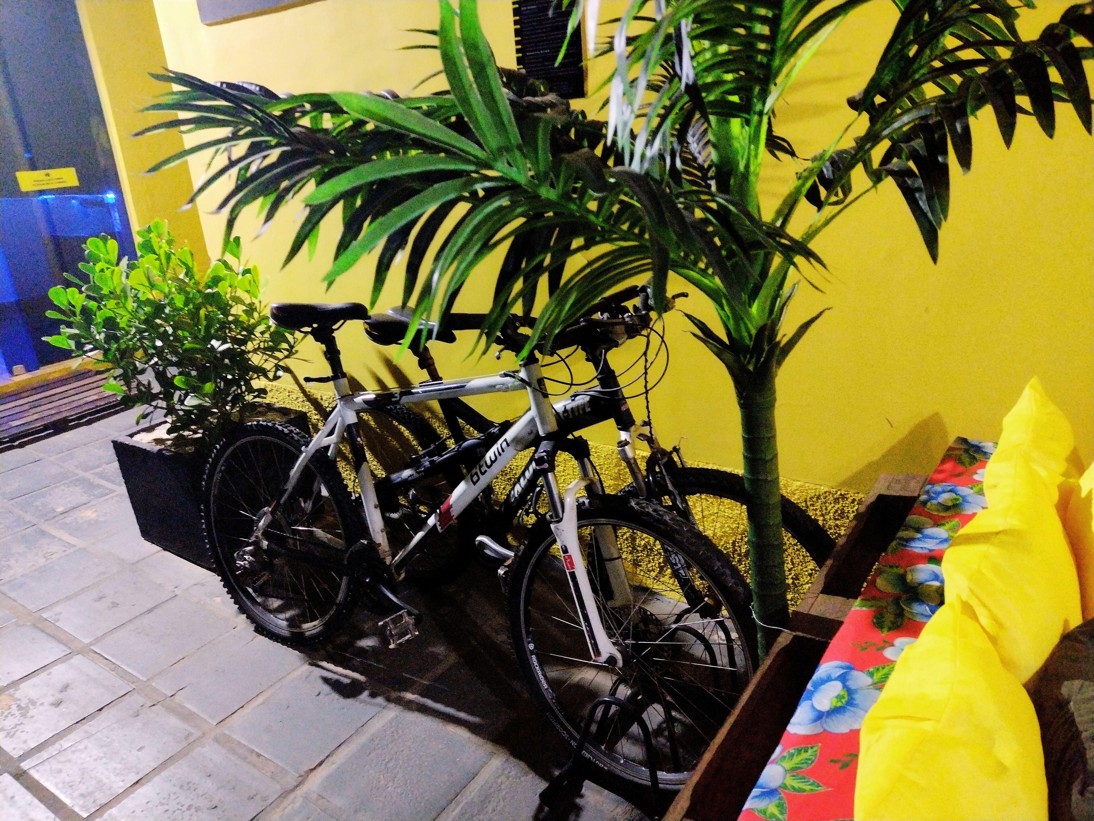 Nomad - Norte Sul, Cambui — Fotos 2