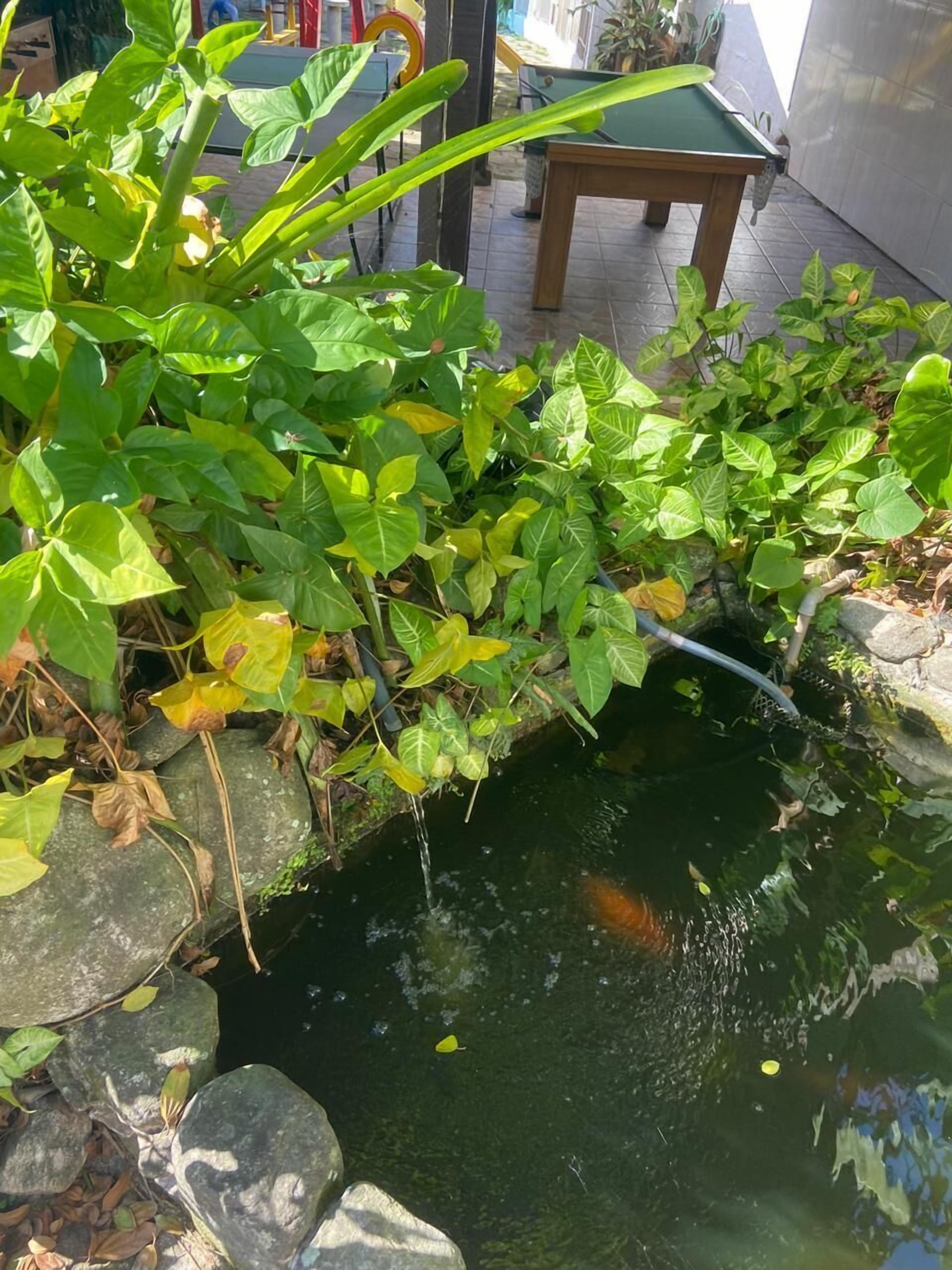 Chales Marissol — Fotos 2