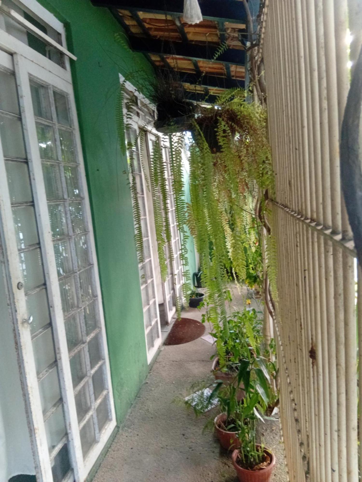 Ubatuba Surf Spot — Photos 3