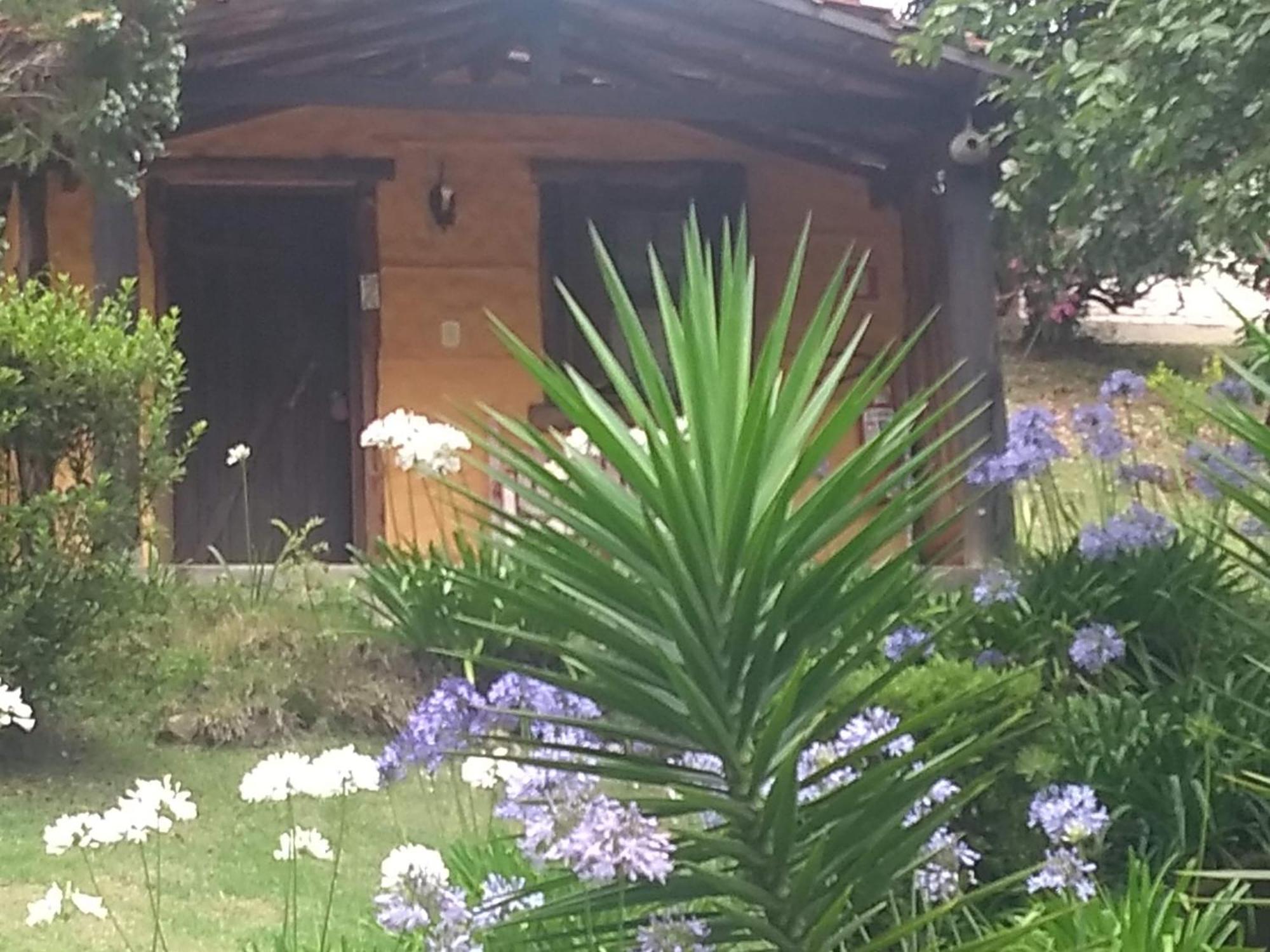 Vale Do Piemonte - Chale Com Hidromassagem - Villa - Santo Antonio do Pinhal, Santo Antonio do Pinhal
